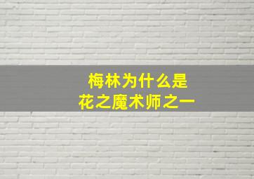 梅林为什么是花之魔术师之一