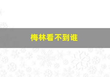 梅林看不到谁