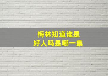 梅林知道谁是好人吗是哪一集