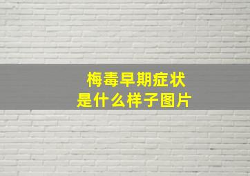 梅毒早期症状是什么样子图片