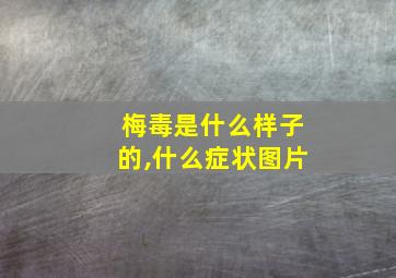 梅毒是什么样子的,什么症状图片