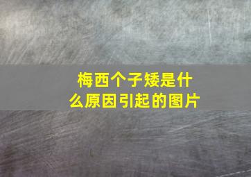 梅西个子矮是什么原因引起的图片