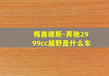 梅赛德斯-奔驰2999cc越野是什么车