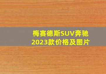 梅赛德斯SUV奔驰2023款价格及图片