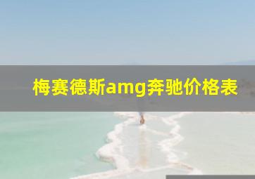 梅赛德斯amg奔驰价格表