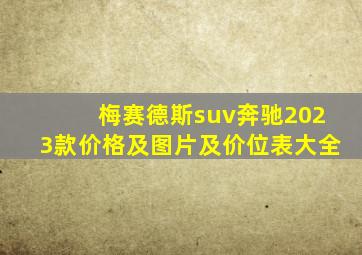 梅赛德斯suv奔驰2023款价格及图片及价位表大全