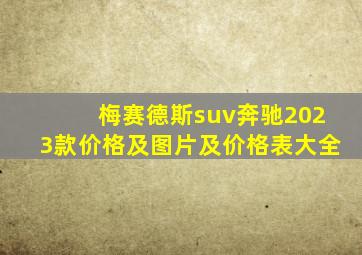 梅赛德斯suv奔驰2023款价格及图片及价格表大全