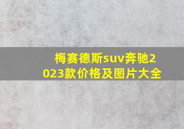 梅赛德斯suv奔驰2023款价格及图片大全