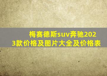 梅赛德斯suv奔驰2023款价格及图片大全及价格表