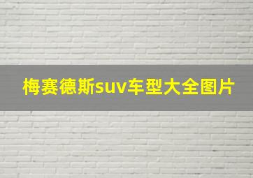 梅赛德斯suv车型大全图片