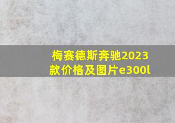 梅赛德斯奔驰2023款价格及图片e300l