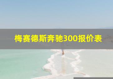 梅赛德斯奔驰300报价表