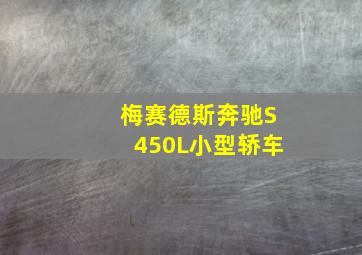 梅赛德斯奔驰S450L小型轿车