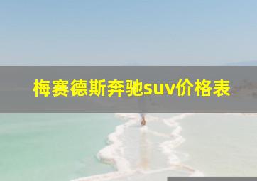 梅赛德斯奔驰suv价格表