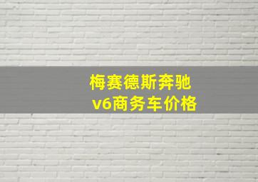 梅赛德斯奔驰v6商务车价格