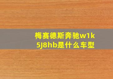 梅赛德斯奔驰w1k5J8hb是什么车型