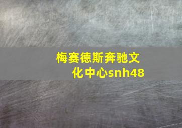 梅赛德斯奔驰文化中心snh48