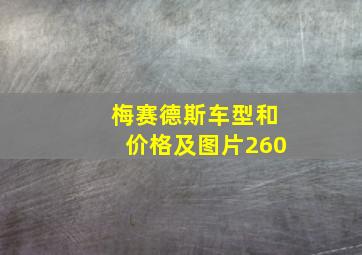 梅赛德斯车型和价格及图片260