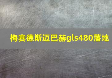 梅赛德斯迈巴赫gls480落地