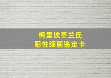 梅里埃革兰氏阳性细菌鉴定卡