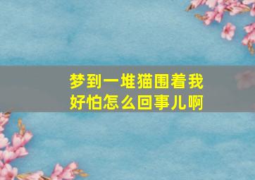 梦到一堆猫围着我好怕怎么回事儿啊