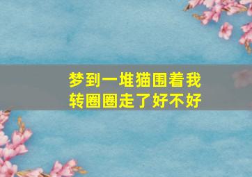 梦到一堆猫围着我转圈圈走了好不好