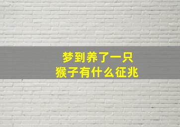 梦到养了一只猴子有什么征兆