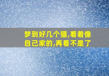 梦到好几个猫,看着像自己家的,再看不是了