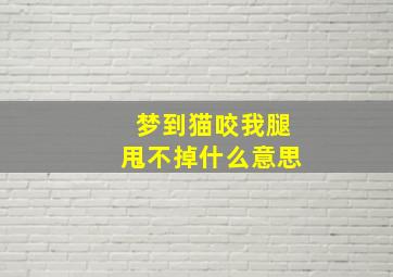 梦到猫咬我腿甩不掉什么意思