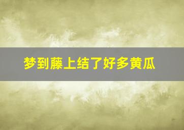 梦到藤上结了好多黄瓜