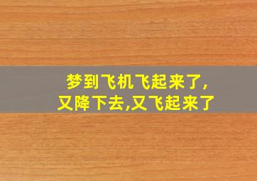 梦到飞机飞起来了,又降下去,又飞起来了