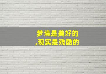 梦境是美好的,现实是残酷的