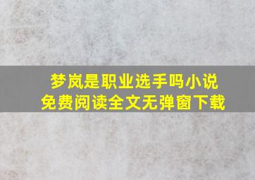 梦岚是职业选手吗小说免费阅读全文无弹窗下载