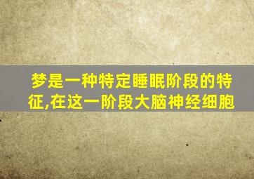 梦是一种特定睡眠阶段的特征,在这一阶段大脑神经细胞