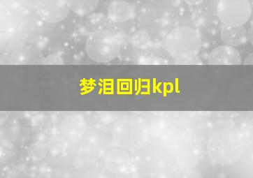 梦泪回归kpl