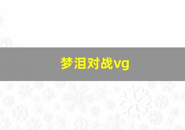 梦泪对战vg