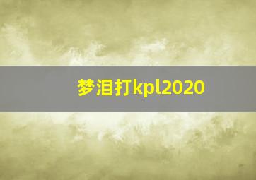 梦泪打kpl2020