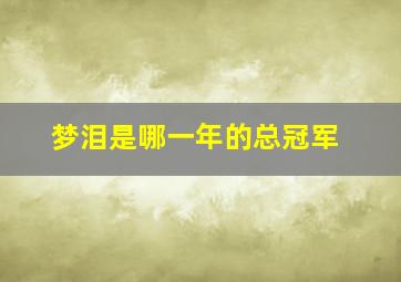 梦泪是哪一年的总冠军