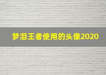 梦泪王者使用的头像2020