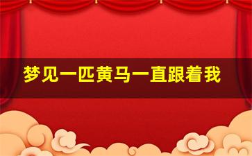 梦见一匹黄马一直跟着我