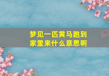 梦见一匹黄马跑到家里来什么意思啊