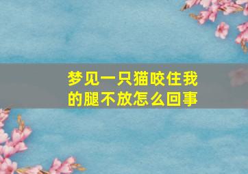 梦见一只猫咬住我的腿不放怎么回事