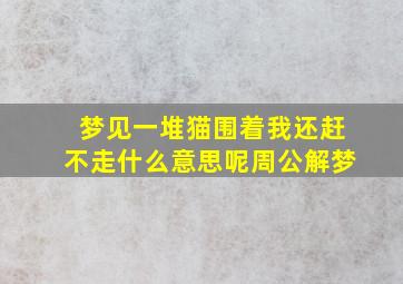 梦见一堆猫围着我还赶不走什么意思呢周公解梦