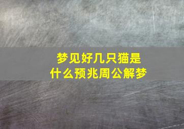 梦见好几只猫是什么预兆周公解梦