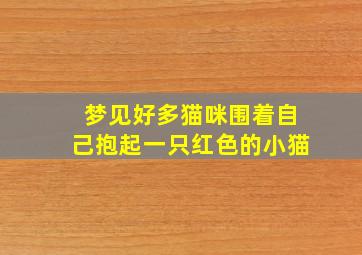 梦见好多猫咪围着自己抱起一只红色的小猫