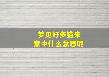 梦见好多猫来家中什么意思呢