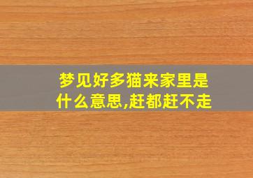 梦见好多猫来家里是什么意思,赶都赶不走