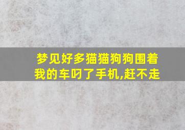 梦见好多猫猫狗狗围着我的车叼了手机,赶不走