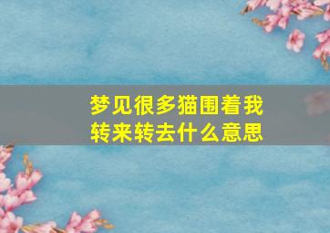 梦见很多猫围着我转来转去什么意思