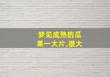 梦见成熟的瓜果一大片,很大